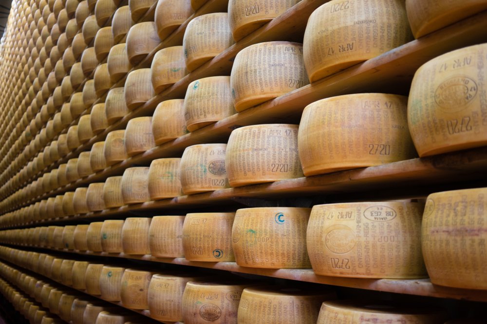 Nem csak ínyenceknek: itt ehetjük a legjobb sajtokat