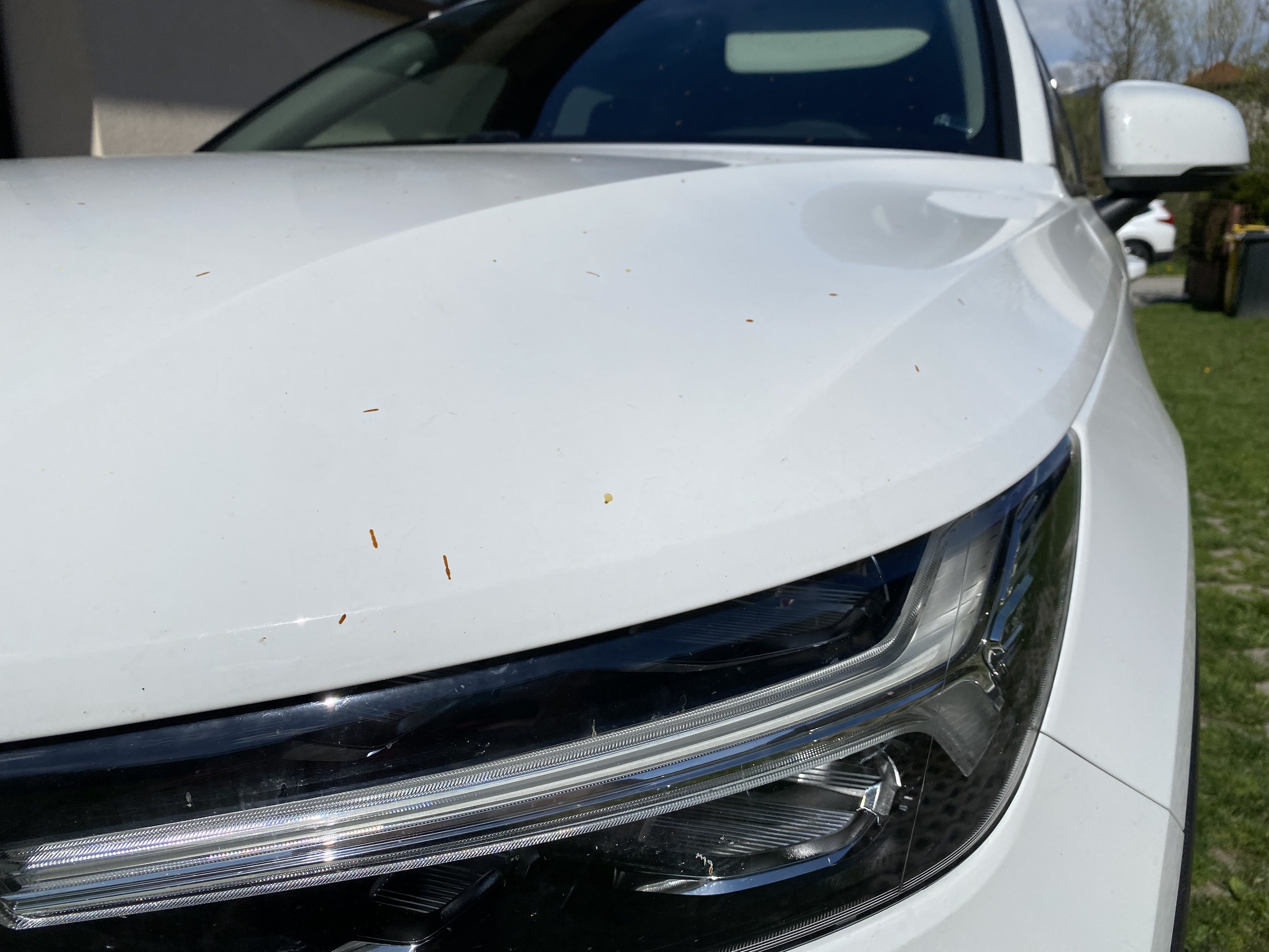 Z čoho sú žlté škvrny na aute počas jari a ako sa ich zbaviť