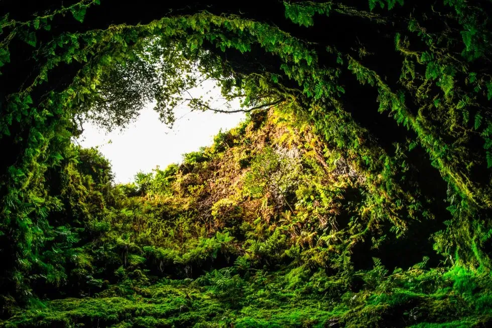 Výlety na sopky: Algar do Carvão