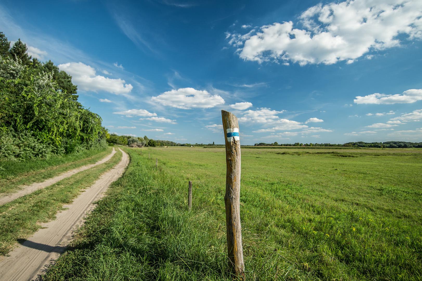 Vecsei H. Miklós a kutyájával járja be a Kéktúrát